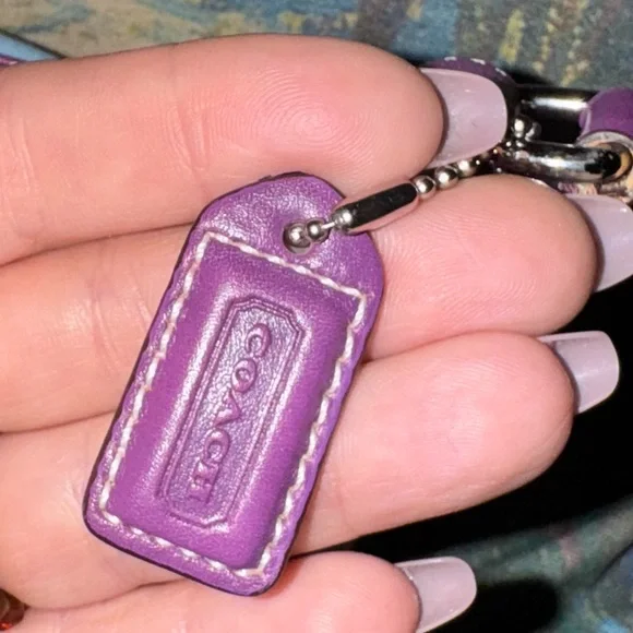 Coach Y2K Hampton Top Handle Nylon Mini Handbag (Baby Blue/Purple) - EUC - Picture 4 of 11